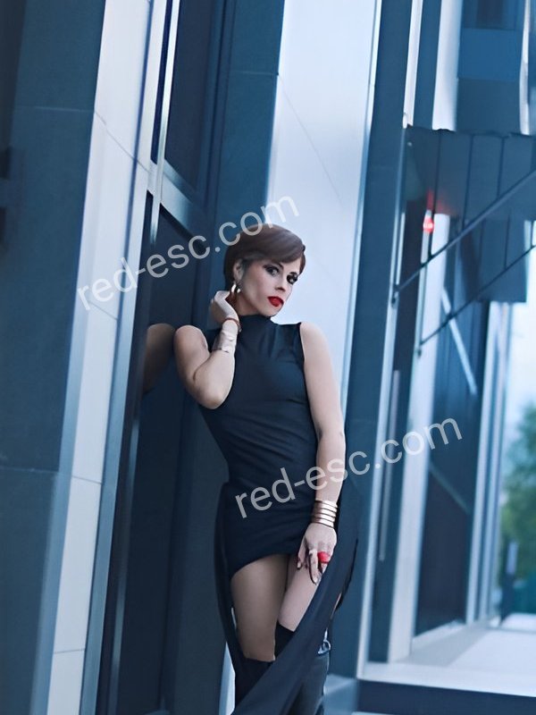 Амина — Дмитров